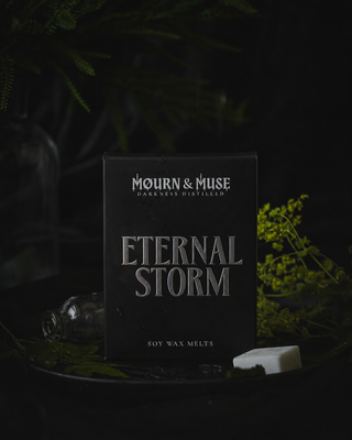 Eternal Storm Wax Melts